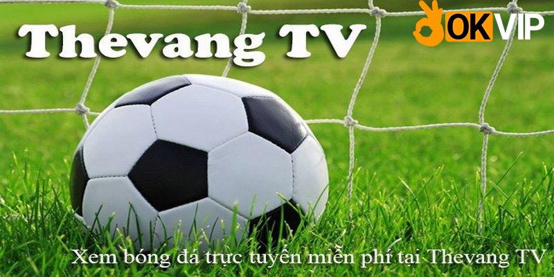 Thevangtv là trang thể thao trực tiếp bóng đá miễn phí